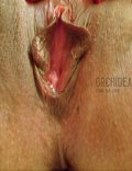 orchidea