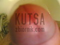 kutsa