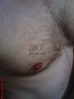 zibi37