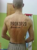 prokop20