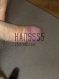 hansss5