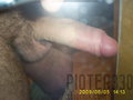 pioter330