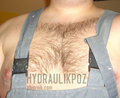 hydraulikPoz
