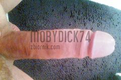 mobydick74