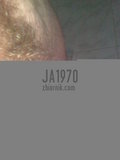 ja1970