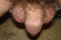 michmag2