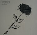 spermek