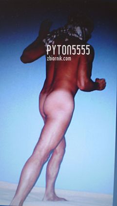 pyton5555