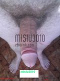 misiu3010