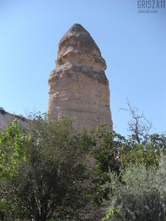 grisza11