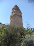 grisza11