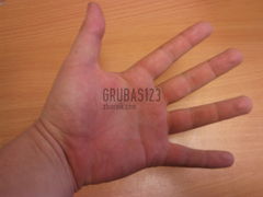 grubas123
