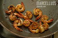 Marcelluss