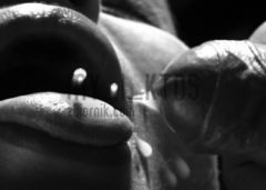 my_i_ktos