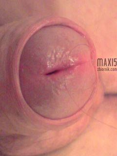 Maxi5