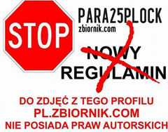 para25plock
