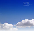 Suchy__