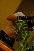 LeoBloom