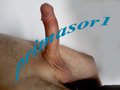 primasor1