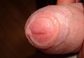 Postawny28