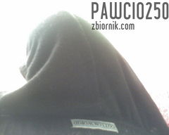pawcio250