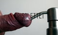 crisolette1