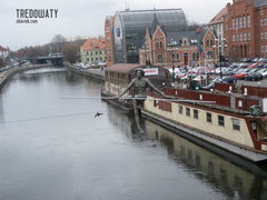 tredowaty