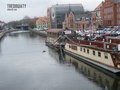 tredowaty