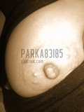 parka83i85