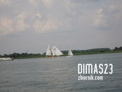 dimas23