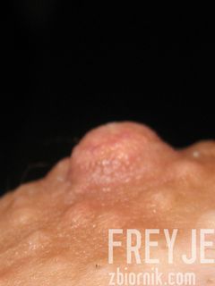 freyje