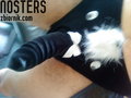 nosters