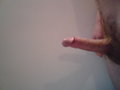 Tomek22_bi
