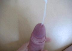 spru81