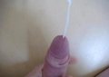 spru81
