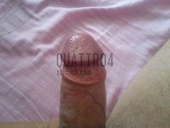 Quattro4