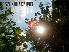 poszukiwacz1983