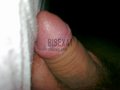 bisex41