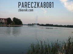 pareczka8081