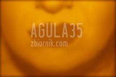 agula35