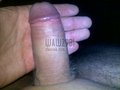 waw29bi