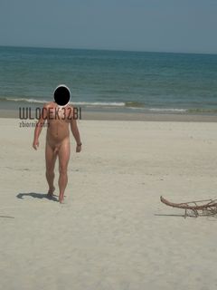 wlocek32bi