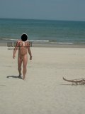 wlocek32bi