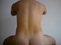 romibobo