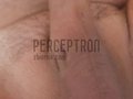 perceptron