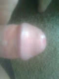 Daniell_