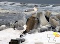 zbych69