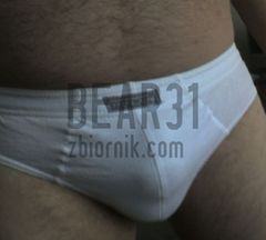 bear31