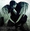 MrCompanion