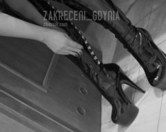 zakreceni_gdynia